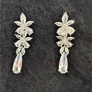 Elegant Silver Drop Earrings
